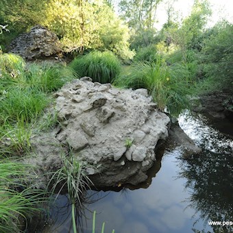 Tammaro loc. Ponterotto