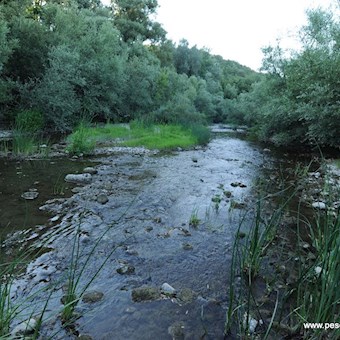Tàmmaro loc Acqua Solfurea