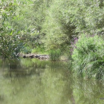 Tàmmaro loc Acqua Solfurea