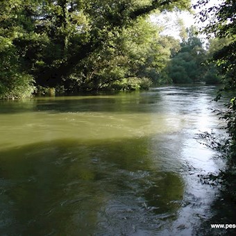 Tàmmaro loc Acqua Solfurea
