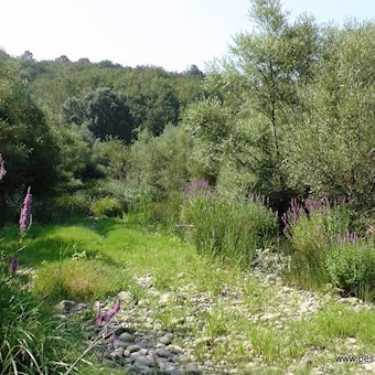 Tàmmaro loc Acqua Solfurea